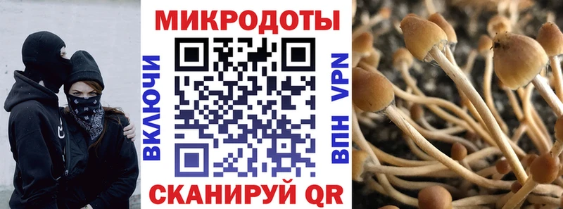 Галлюциногенные грибы GOLDEN TEACHER  Купить где  Задонск 